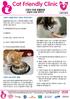 Changing-your-cats-food-KR